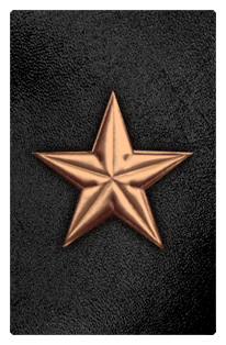 DF35T 430 BZ BK Star Bronze Black